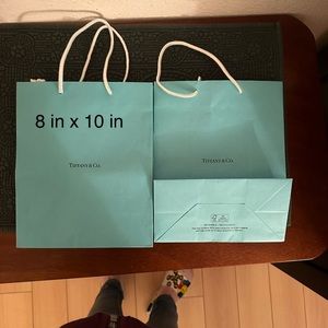 Large tiffany gift bag
